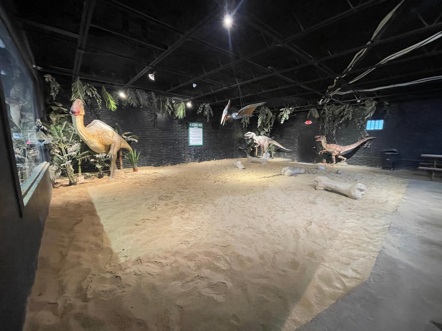 Dig indoors in our climate controlled dig zone!