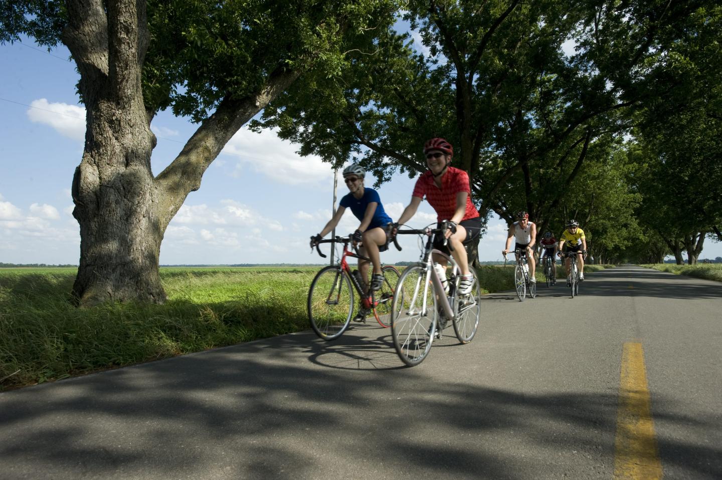 Cycling the Harper's Loop
