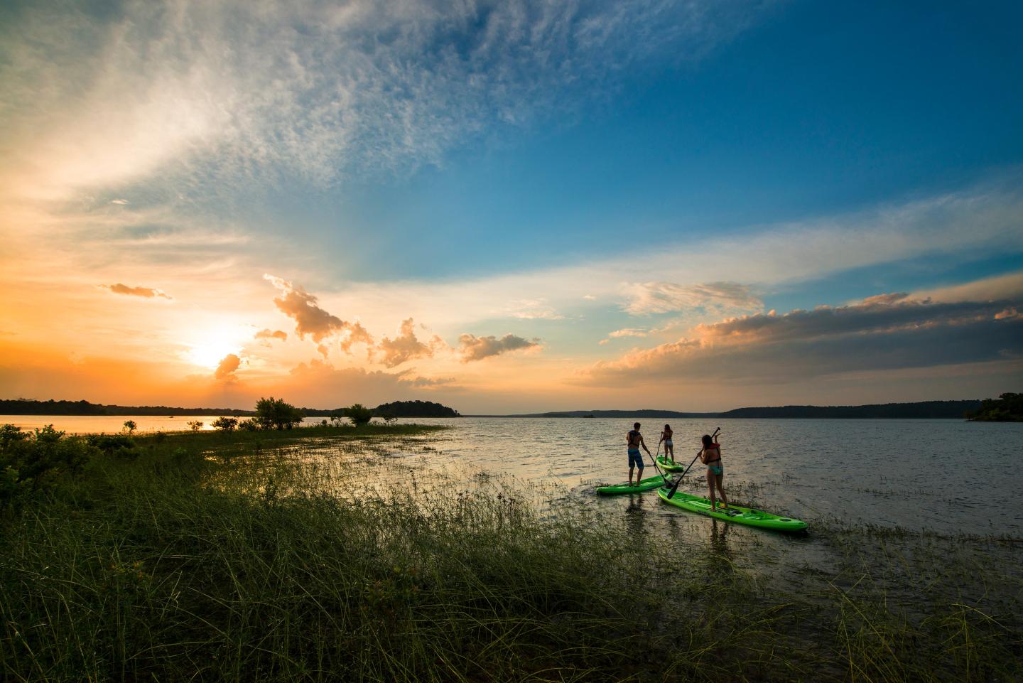 Rent a Stand Up Paddleboard (SUP)