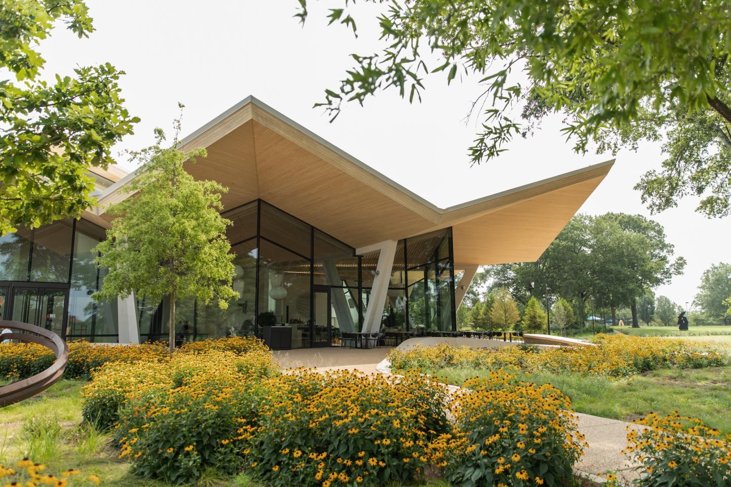 Modern building with angled roof, surrounded by yellow flowers and trees.