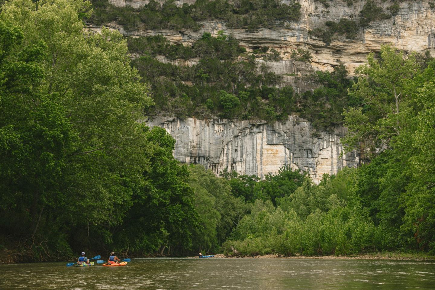 Kayakers on a calm river surrounded by lush green trees and a rocky cliff.