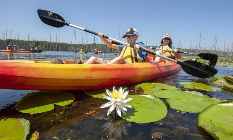 Kayakers paddling on a lily pad-covered lake under a clear blue sky.
