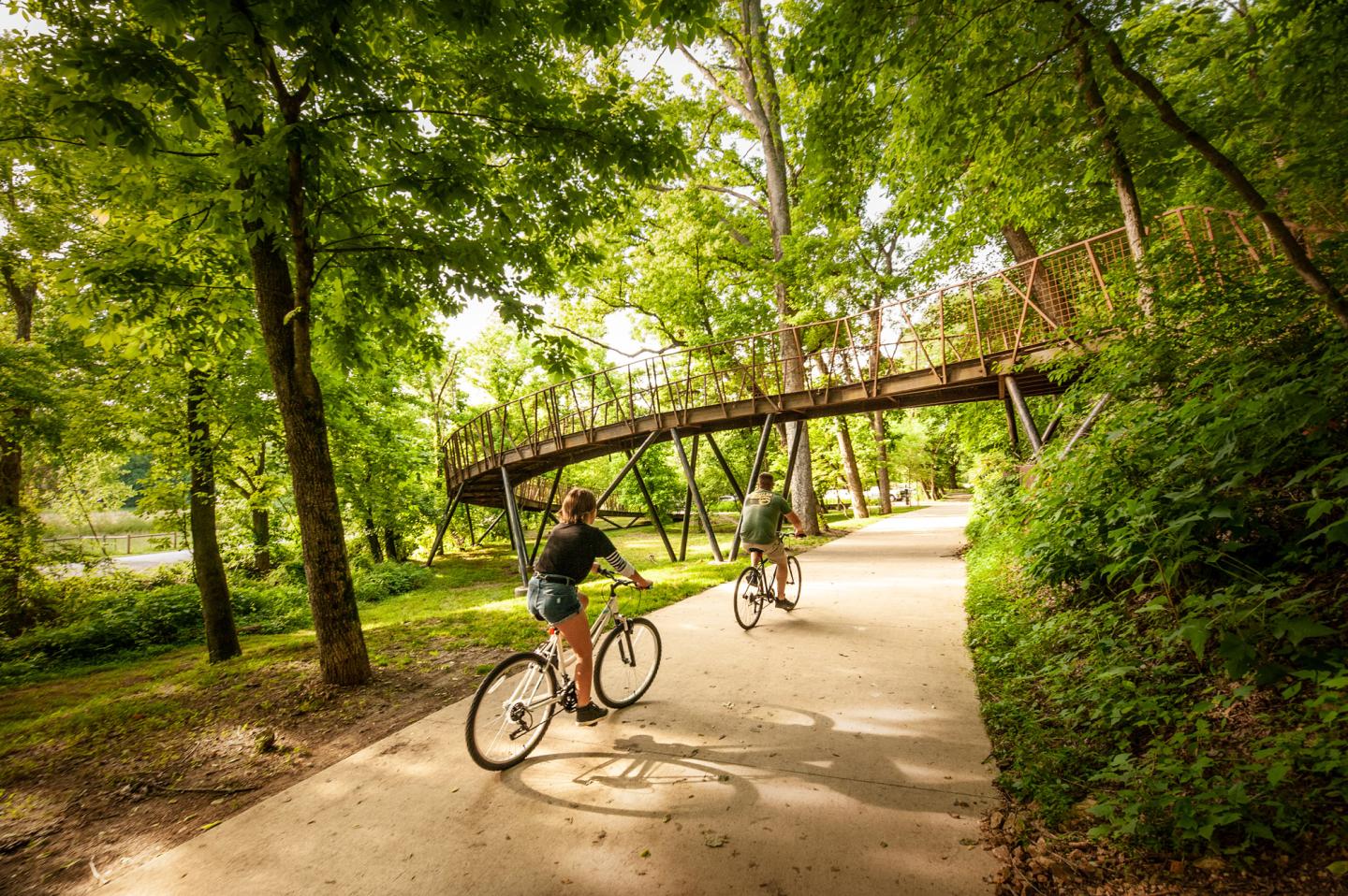 Cyclists riding on a sunny, tree-lined path under a winding bridge.