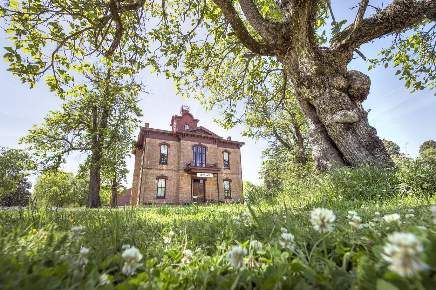 Historic brick building framed by large trees and foreground flowers.