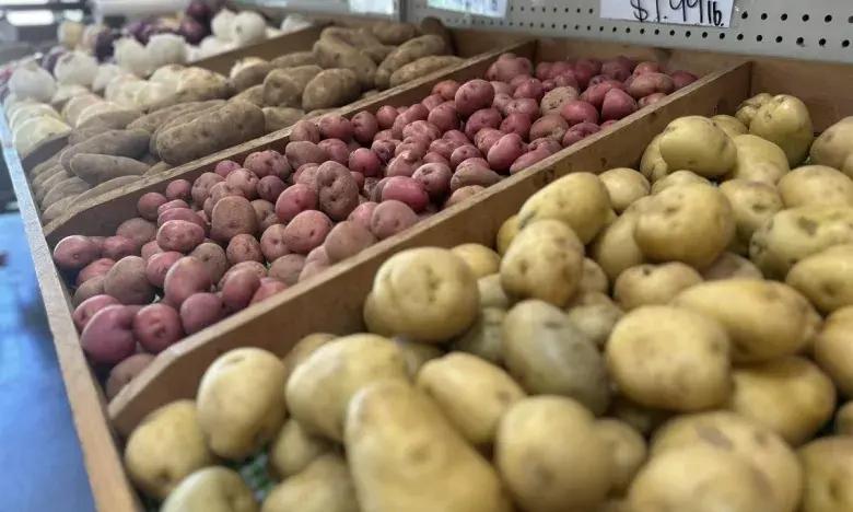 Various types of potatoes arranged in wooden bins at a store.