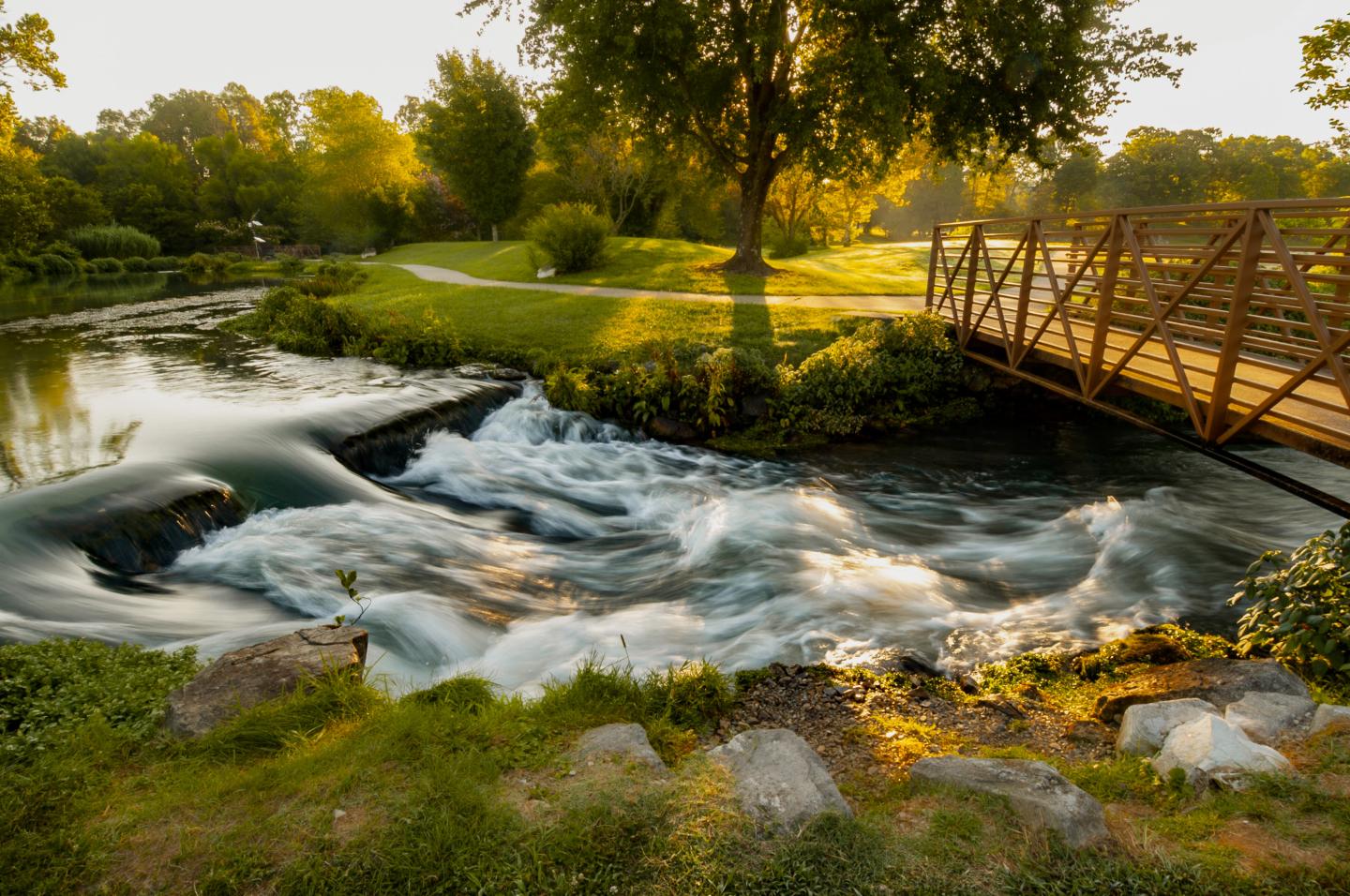 Sunlit park with bridge over flowing stream and lush greenery.