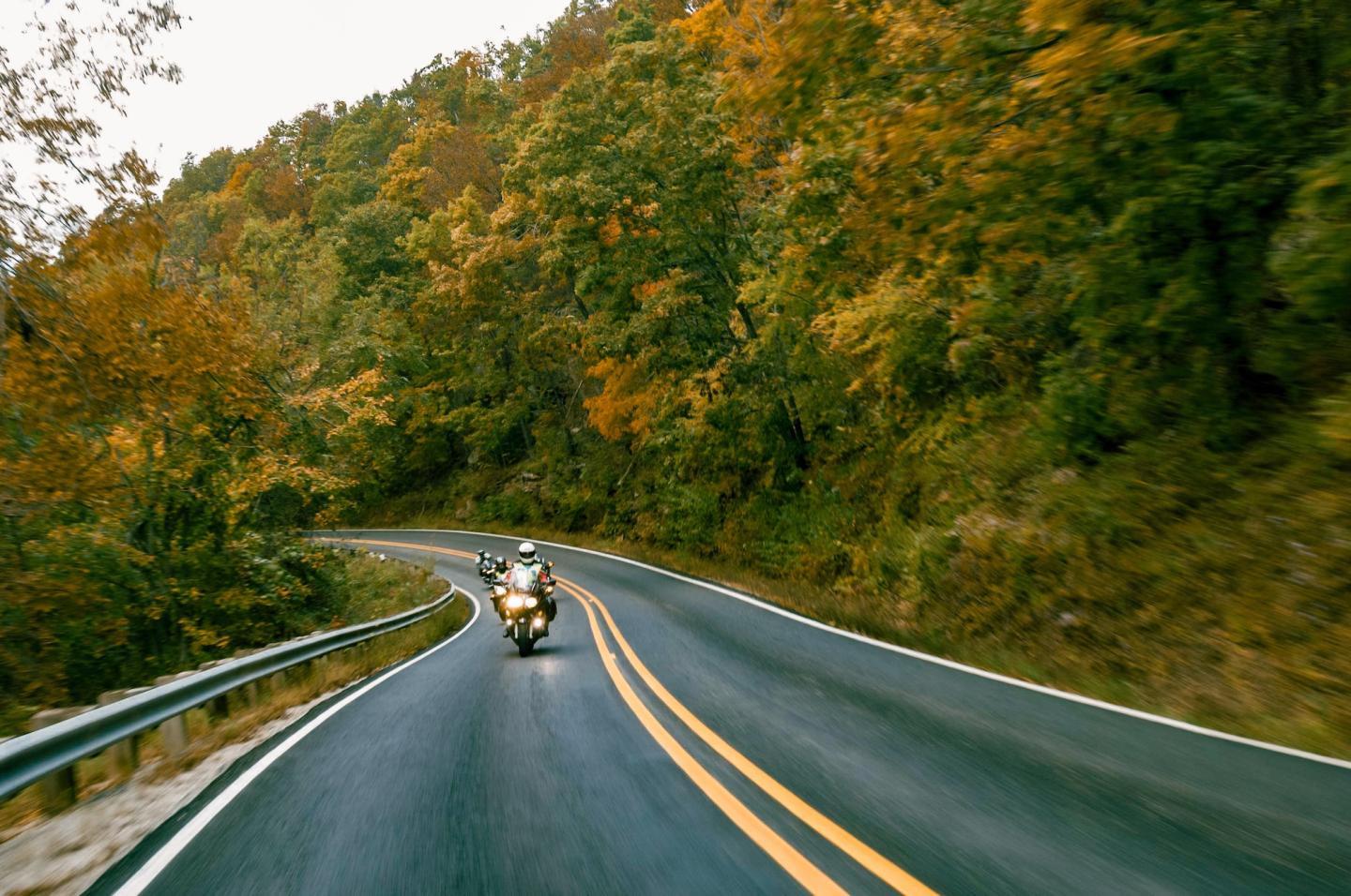 Motorcyclist on a winding road through autumn trees.