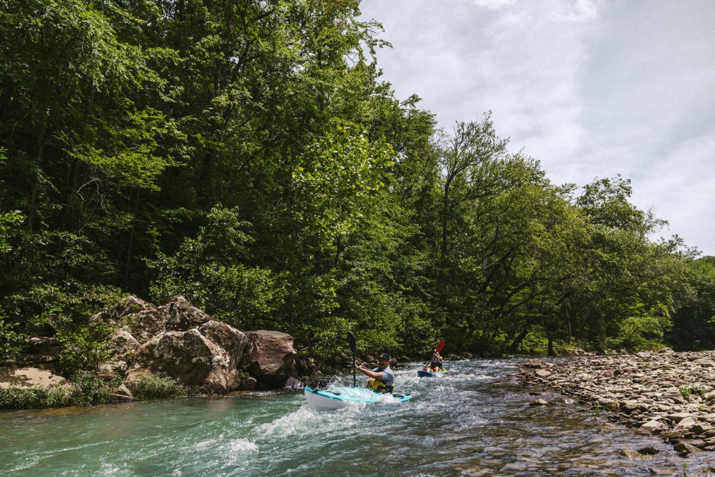 Kayakers navigate a rocky river surrounded by lush green trees.