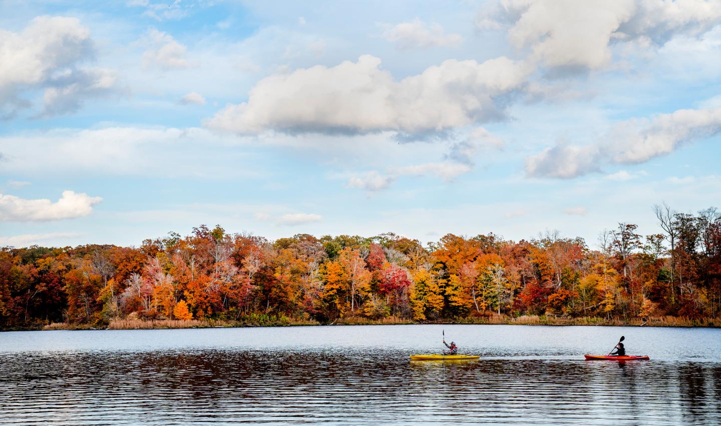 Kayakers on lake with vibrant autumn trees in the background.
