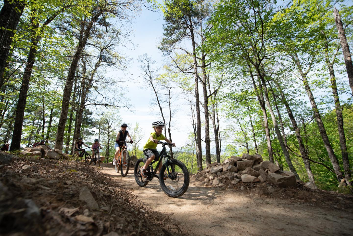 Children biking on a forest trail, sunny day.