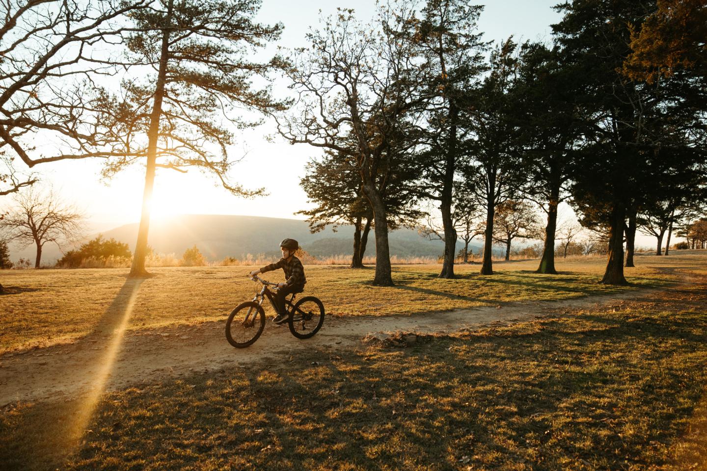 Bicyclist rides on a sunlit path through a forest.