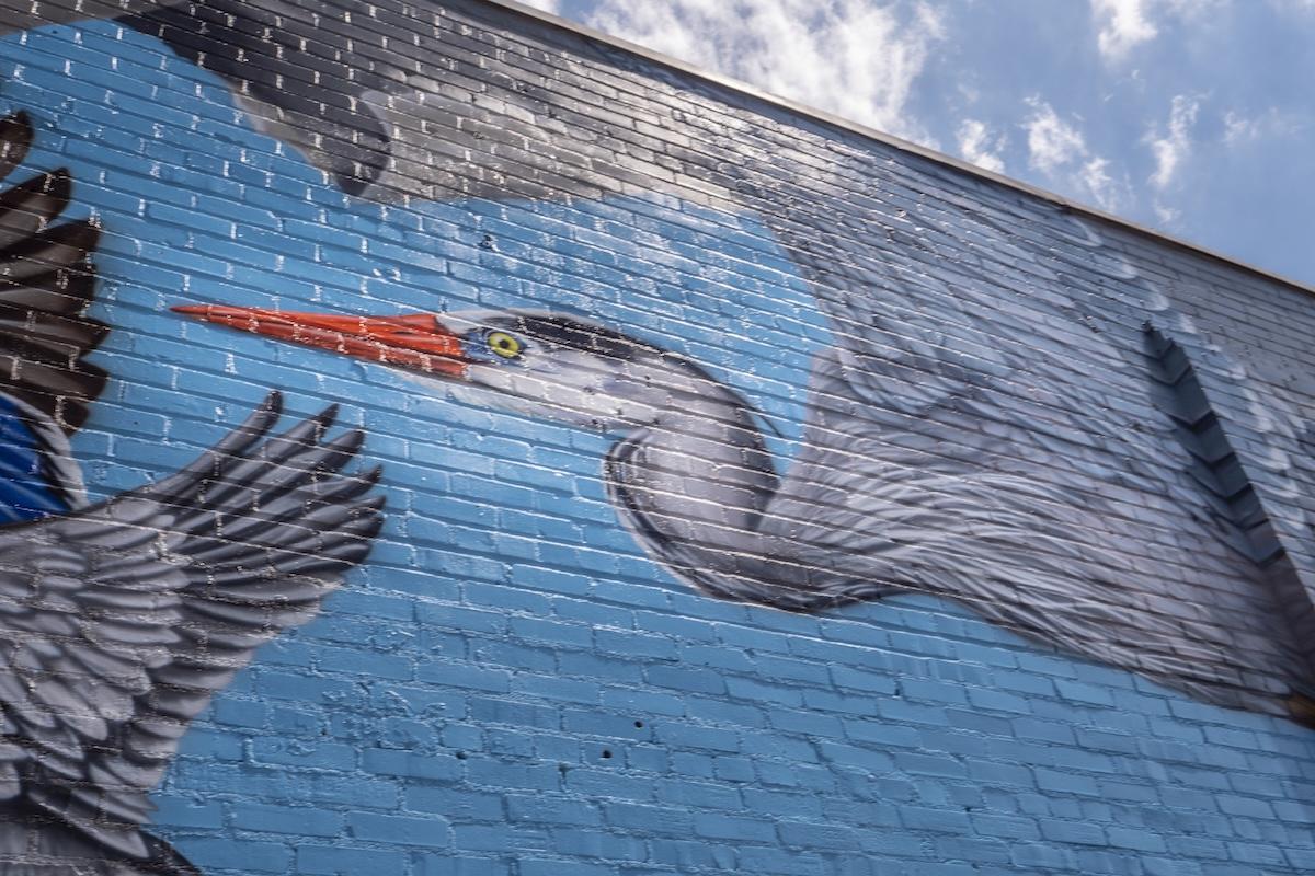 Mural of a heron in flight against a blue sky on a brick wall.