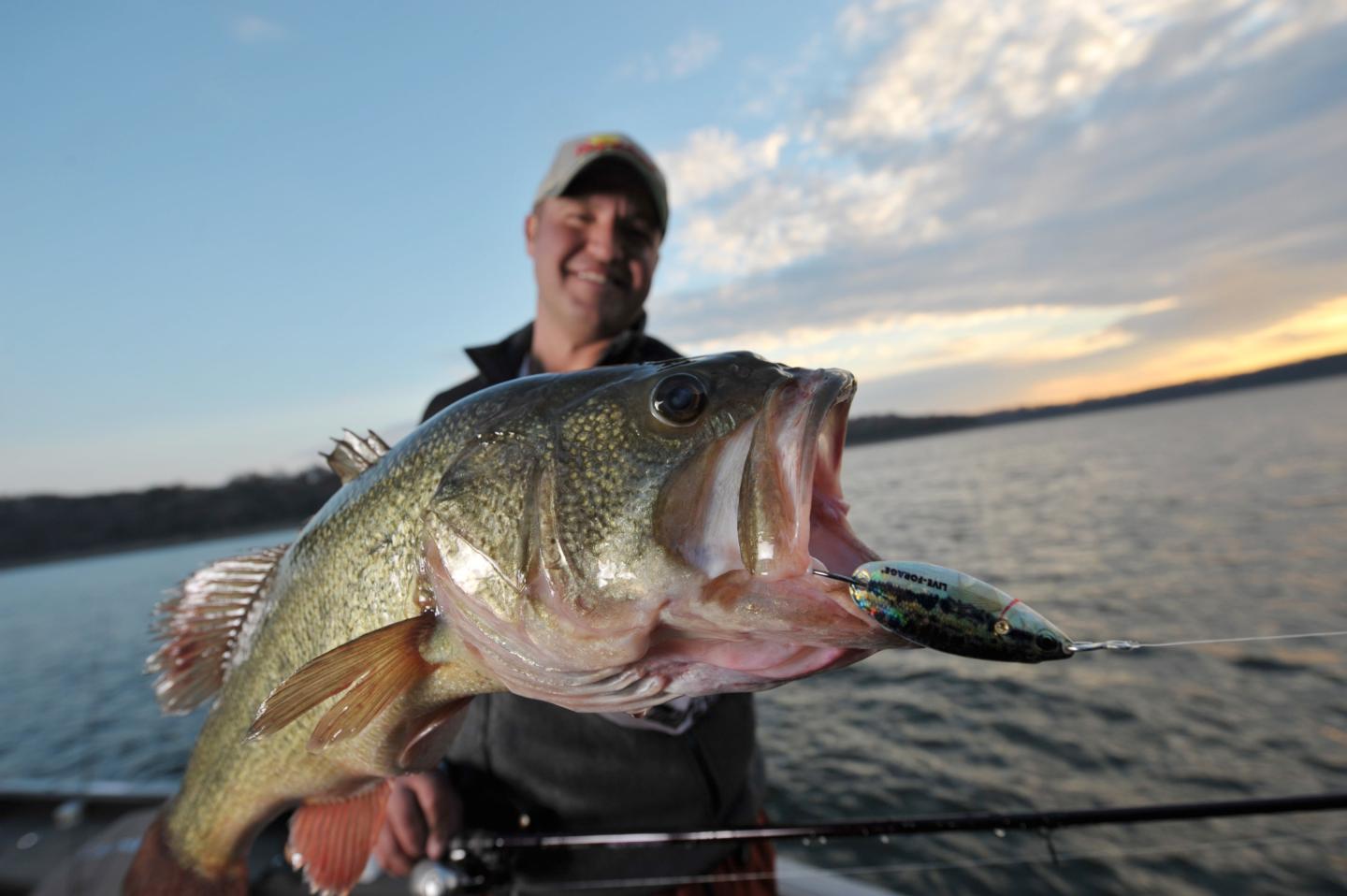 Angler holding a large fish on a boat at sunset.