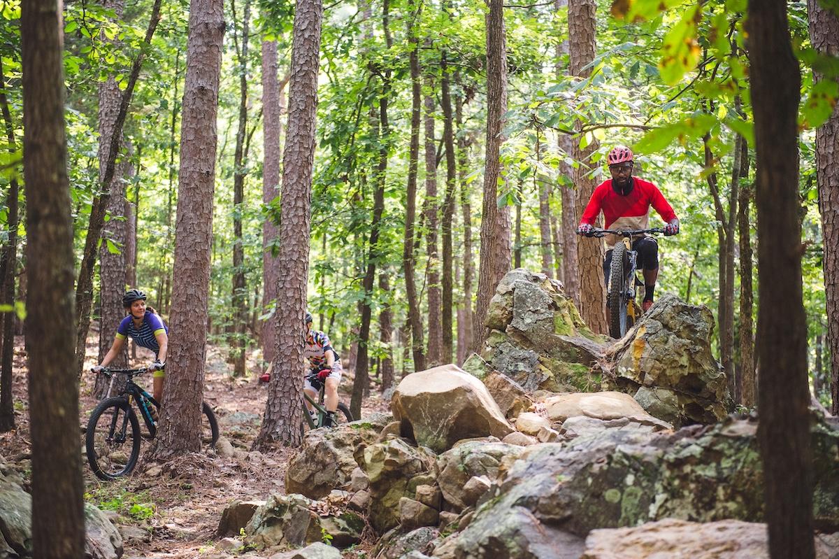 Mountain bikers riding through a dense forest trail.