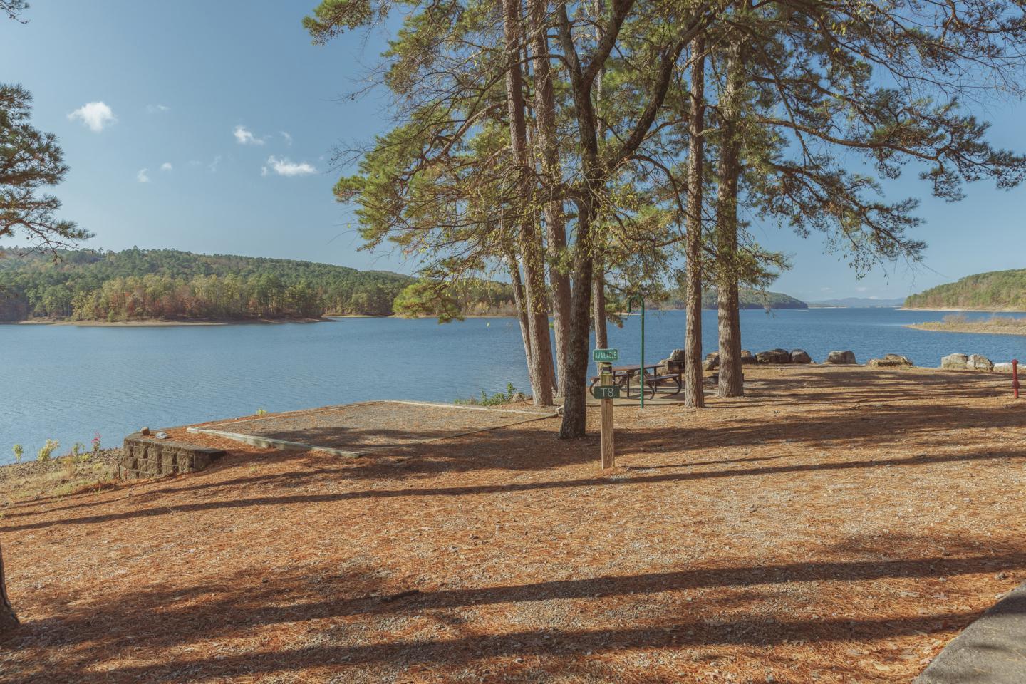 Peaceful lakeside with trees and a distant view of hills under a clear sky.