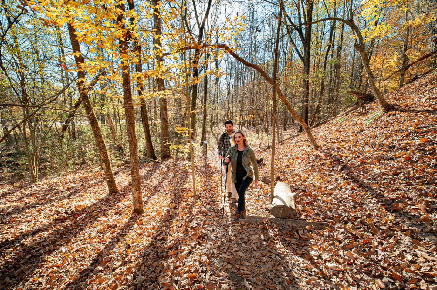Couple walking a dog on a forest trail in autumn.