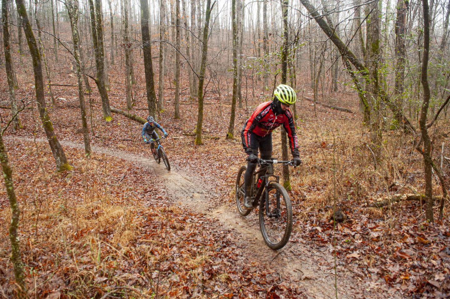 Two cyclists biking on a forest trail with fallen leaves.