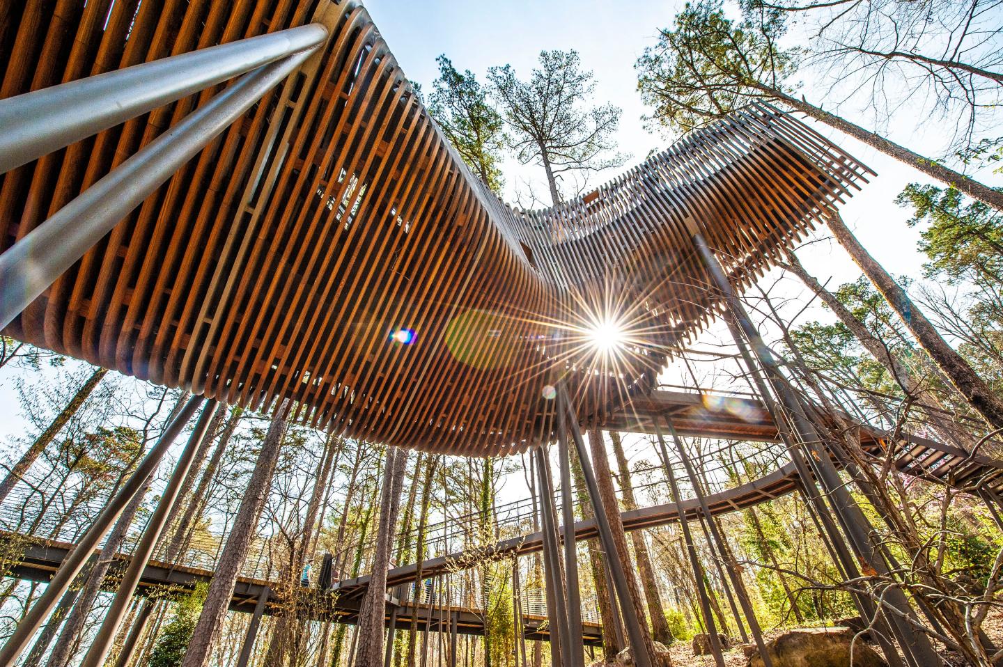 Garvan Woodland Gardens