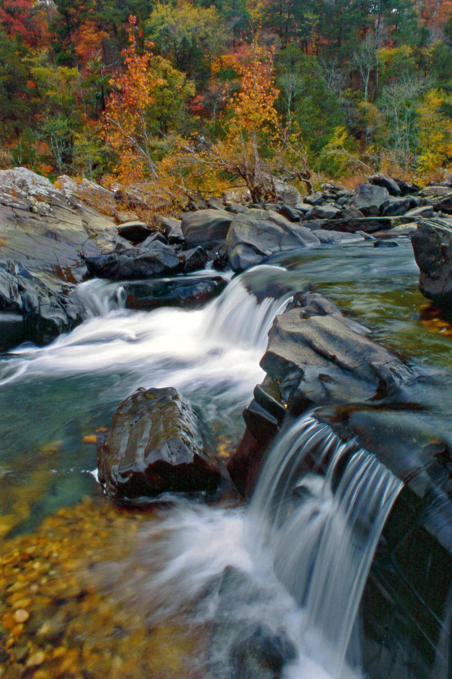 Cossatot River State Park-Natural Area