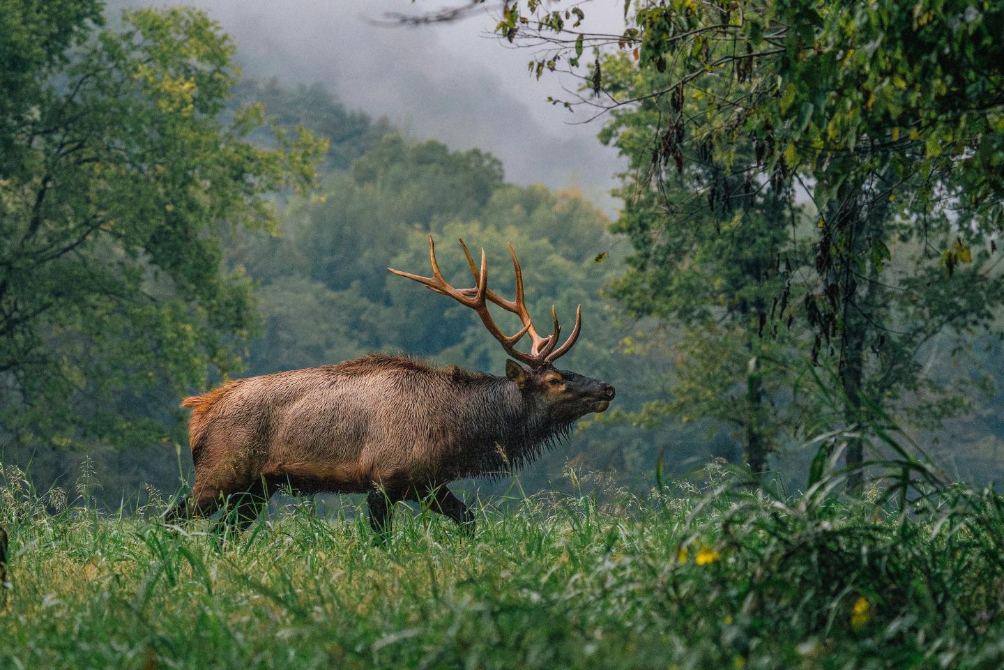 Buffalo Outdoor Center