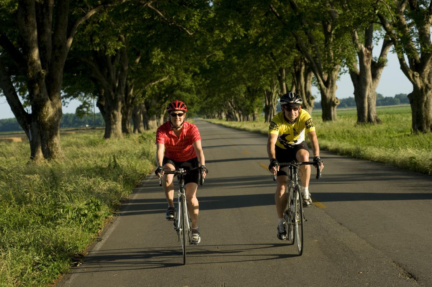Cycling the Harper's Loop