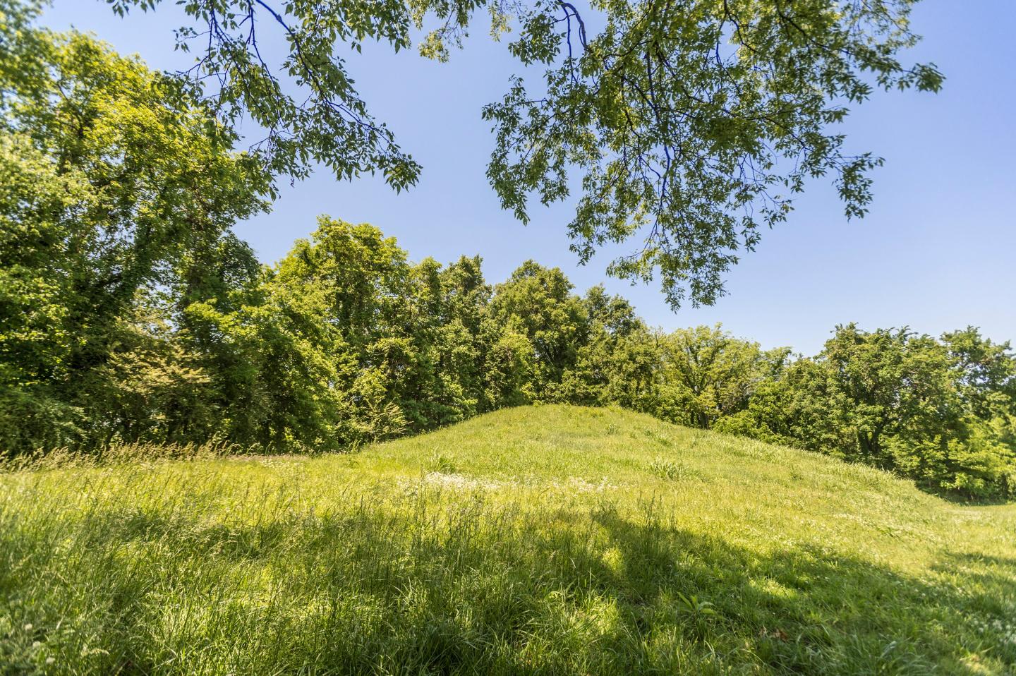 A large platform mound on the river bank remains