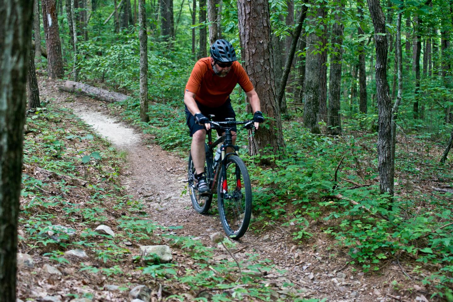 Mountain biking on the Earthquake Ridge Trail