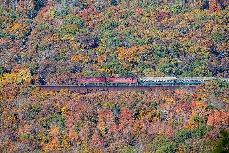 Arkansas &amp;amp; Missouri Railroad