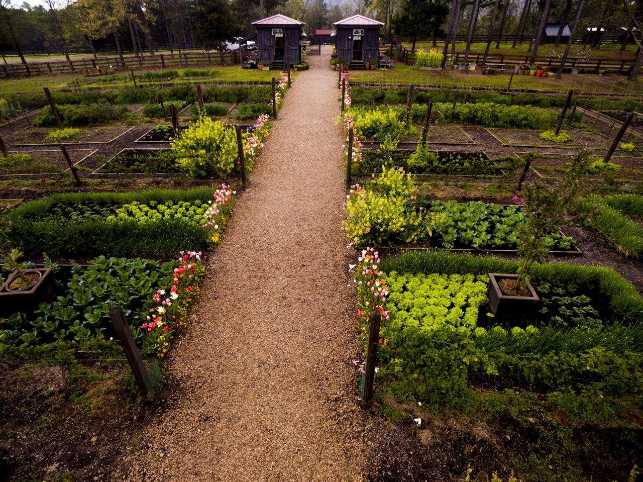 P. Allen Smith’s Moss Mountain Farm