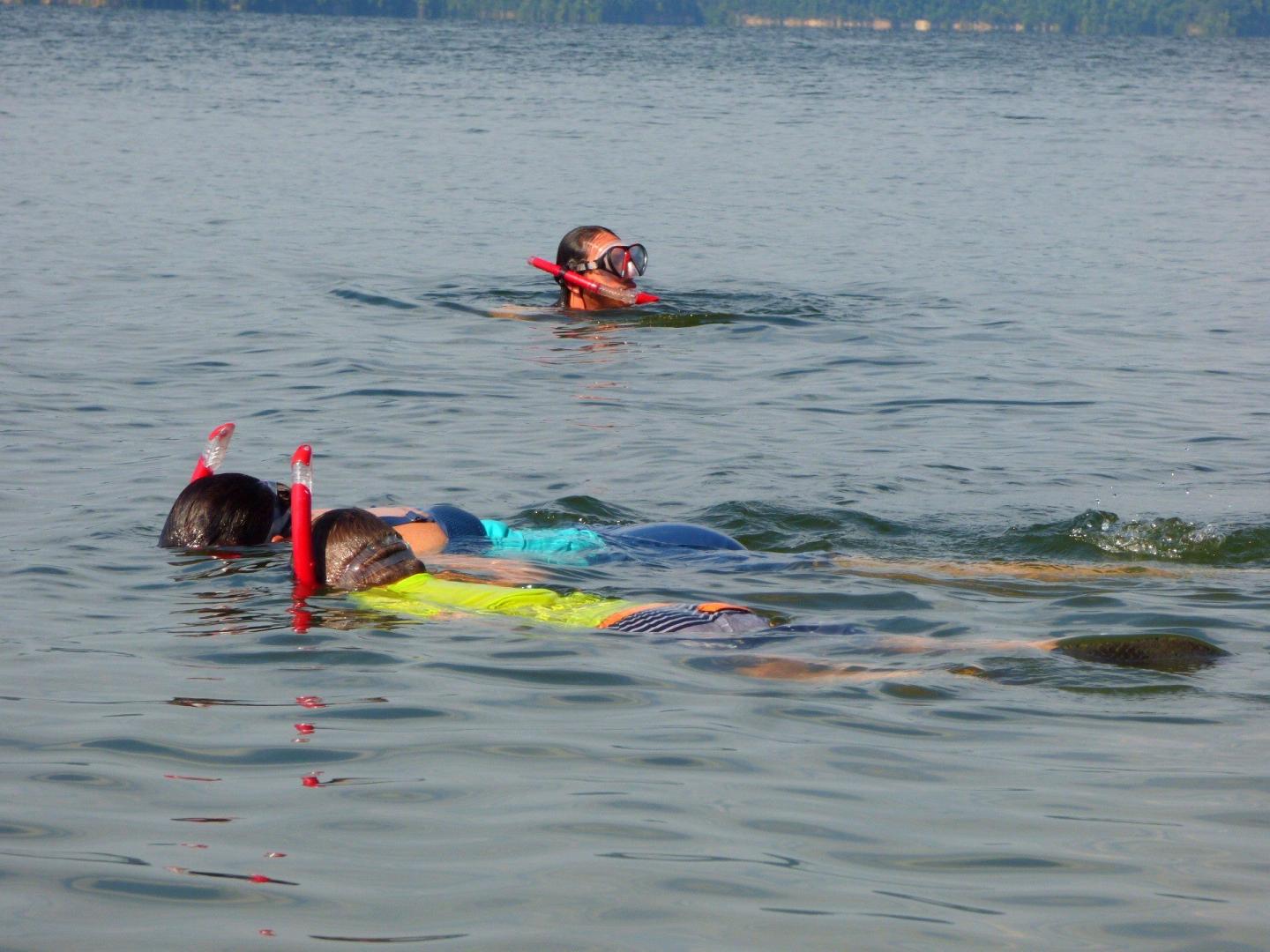Snorkeling Tour of the Islands at Buckville