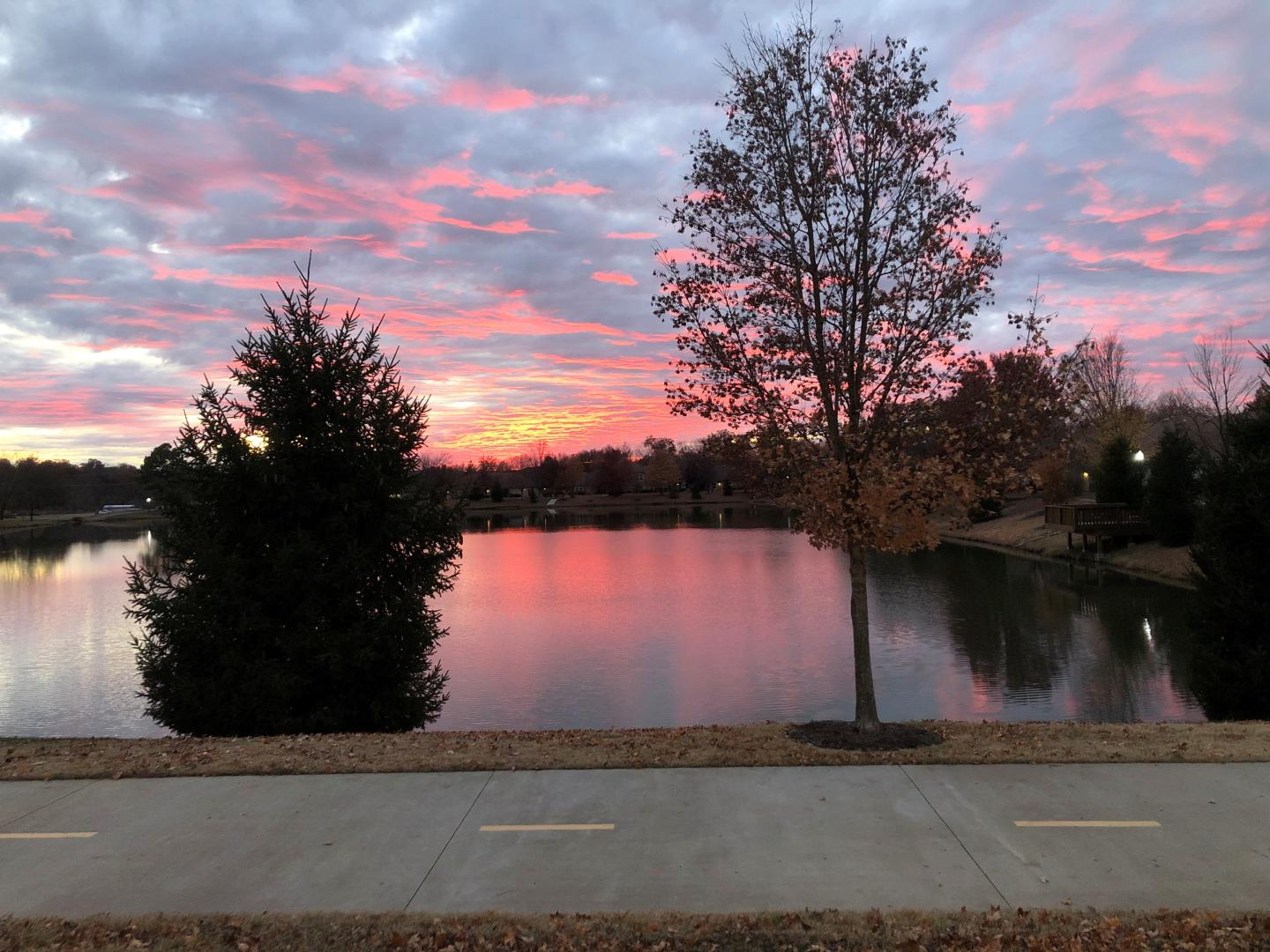 Natural State Beer Company, Natural State Beer Company, Natural State Beer Company, Natural State Beer Company, Natural State Beer Company, Natural State Beer Company, Natural State Beer Company, Natural State Beer Company