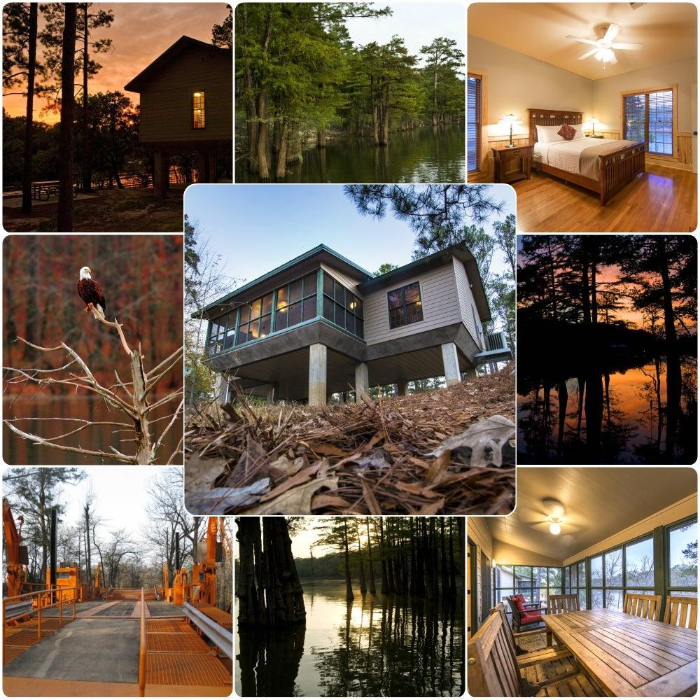 A collage of a cabin, sunrise, eagle, and forest scenes.