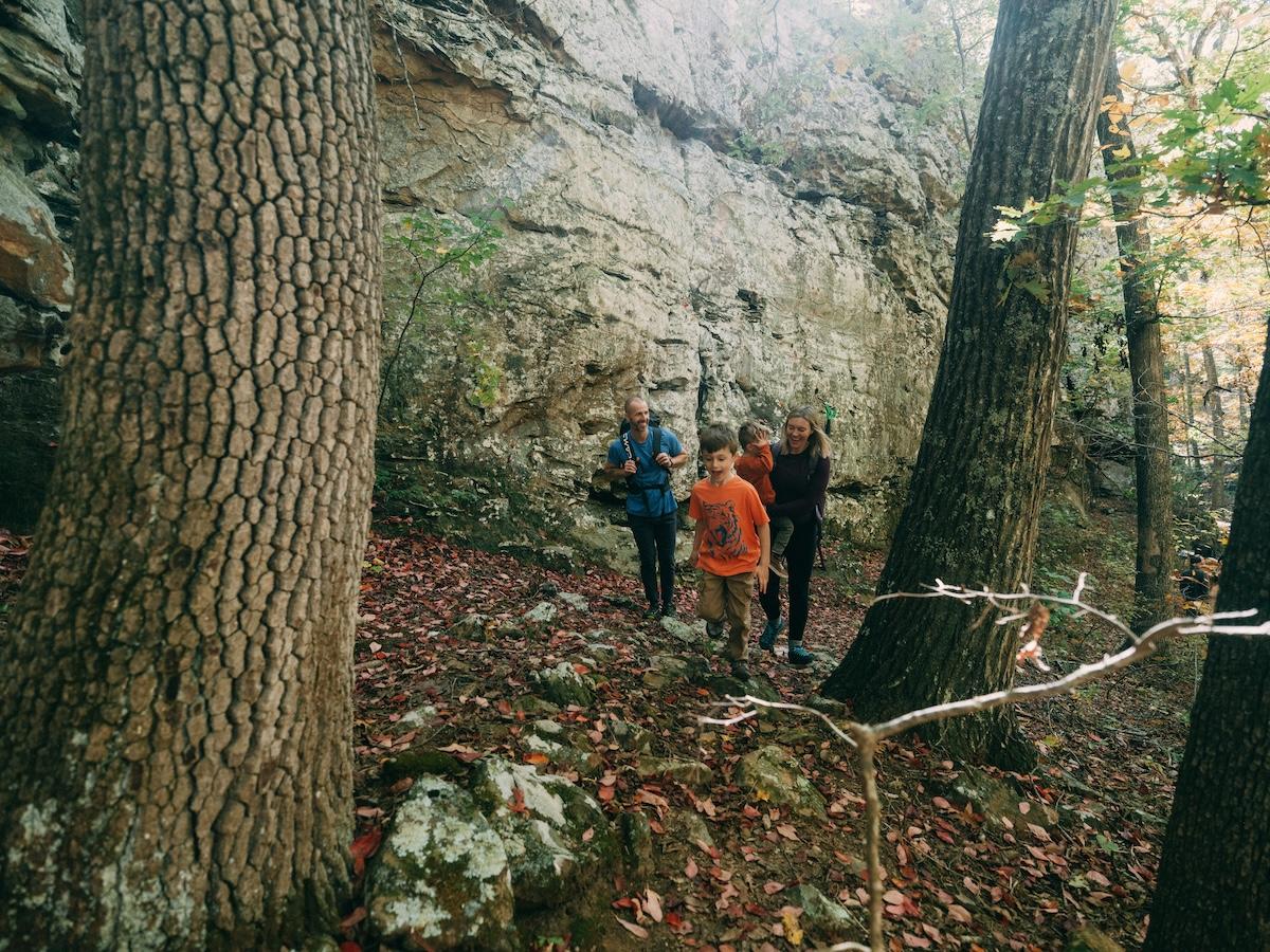 Three people hiking in a forest near rocky cliffs.